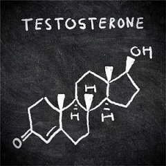 Testo