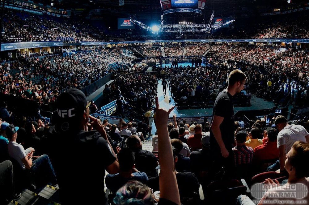 Октагон UFC