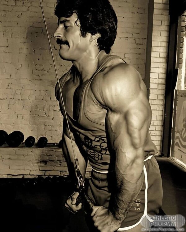 mike_mentzer_trenirovka.jpg